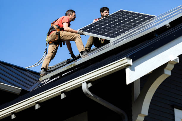 Best Roof Moss and Algae Removal  in Roxboro, NC